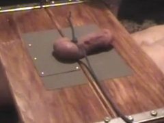Cock Torture In Trample Box