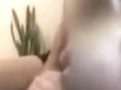 Sucking a veiny pecker in porn film