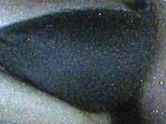 some other 18yo cutie show billibongs