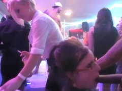 Party babes sucking strippers hard cocks