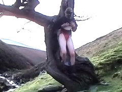 An Evening Stroll (HD)