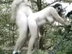 Some park near the abode, amongst the pines