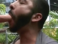 Bearded farmer gives a blowjob