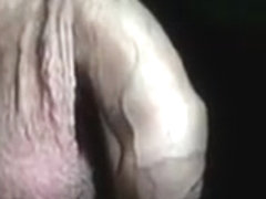 Nice cock getting hard