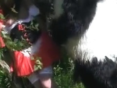 girl sucking huge cock in the woods toy bear