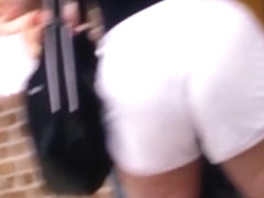 Potro  jumenta  equa  vadia  safada