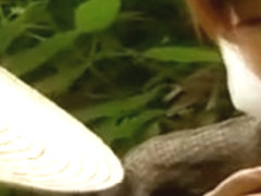 Une japonaise se fait teter les nichons dans une riziere