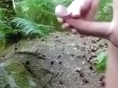 Wanking in the woods