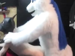 noble mounts his pup