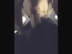 Amateur Blowjob & Cum