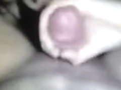 Wife giving great blow job part 2