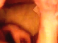 My sweetie sucks my dick and balls