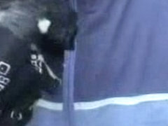 blow job in the snow