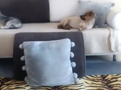 eyescrystal 2016-04-12 08:14:59