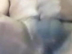 Oso ganoso eyaculador