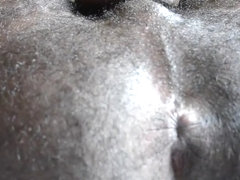 showing butthole and humping bed