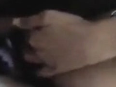 Porca Brasiliana fa godere un ragazzo