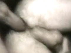 Woodland Cruising Bareback