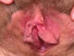 Apricot Pitts opens wide her hairy cunt