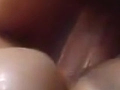 Stallion takes on two guy men