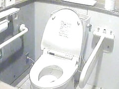 The public toilet bowl that had so many amateur sitting on