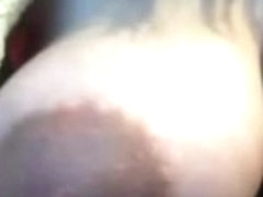 Incredible pointer sisters!