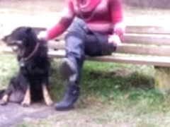 Tranny sitting on Parkbench near road