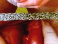 Tribute to Austriancock Wife