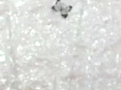 Mature solo ses toys