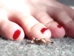 Giantess Punishes Tinies | Close up | HQ | SweetieFeetie | Red Nails | Feet