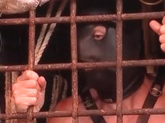 Guy gets ass dildo fucked