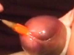 cock in toilet-paper-roll - penis insertion