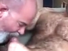 Bald Hairy mandy Bear(s)