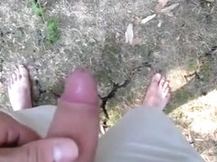 Close-ups in my Garden