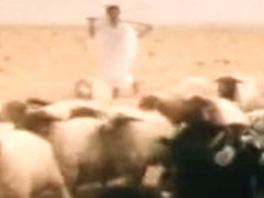 Chaleurs - Cadinot-two