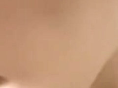 Brace faced dilettante