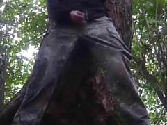 piss-wank in wood