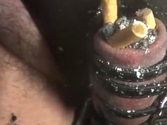 ashtray for my master 2