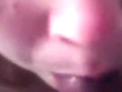 Large Darksome Ramrod Orall-Service Clip