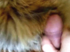 FurForever...just me