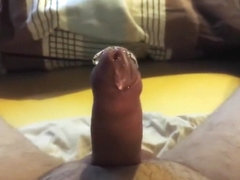 Wank after work at home