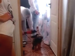 Provocate Technical Guy