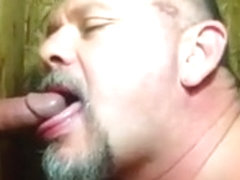 Flavorful Fluids Of Males