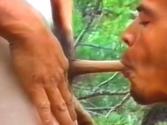 Wankin' in the Woods