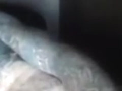 dging frenchie tattooed butt