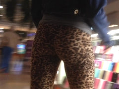 Tiny Teen Perfection Leopard Tights Candid