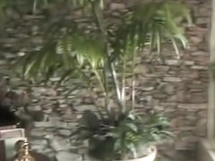 Seduction 17 - Scene 5