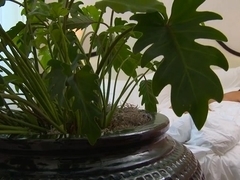 Devouring beautys juicy cunt