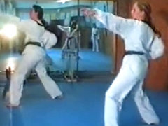 Karate Kicks - 3