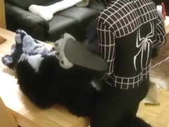 Wolf on the table with Venom